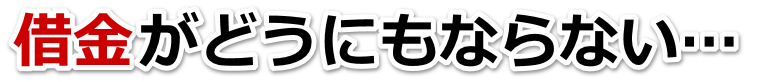 もうどうしようもない。借金が返せない。茂原市で弁護士や司法書士に無料で相談する